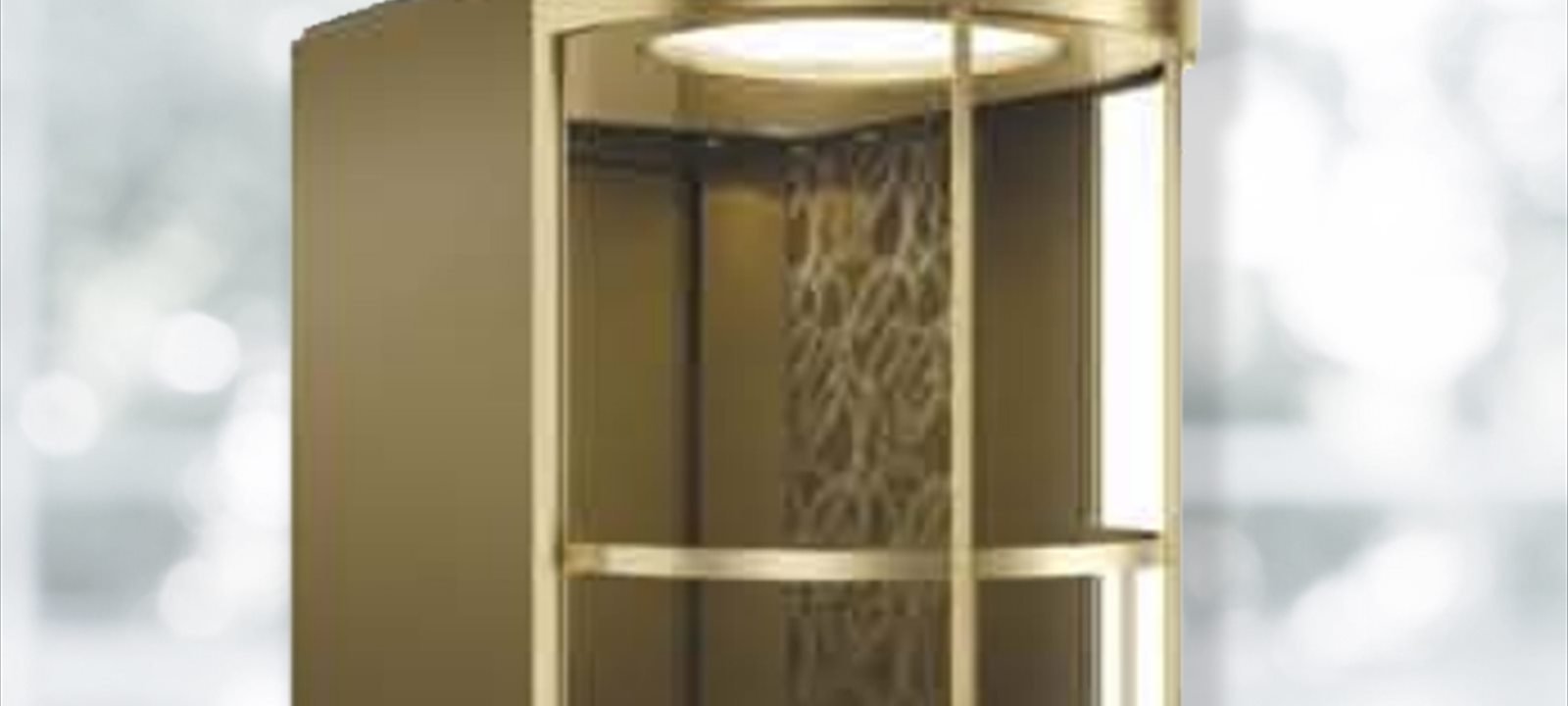 Capsule Elevators installation